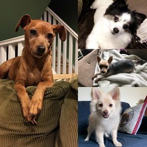 Meet your Posher, Sara